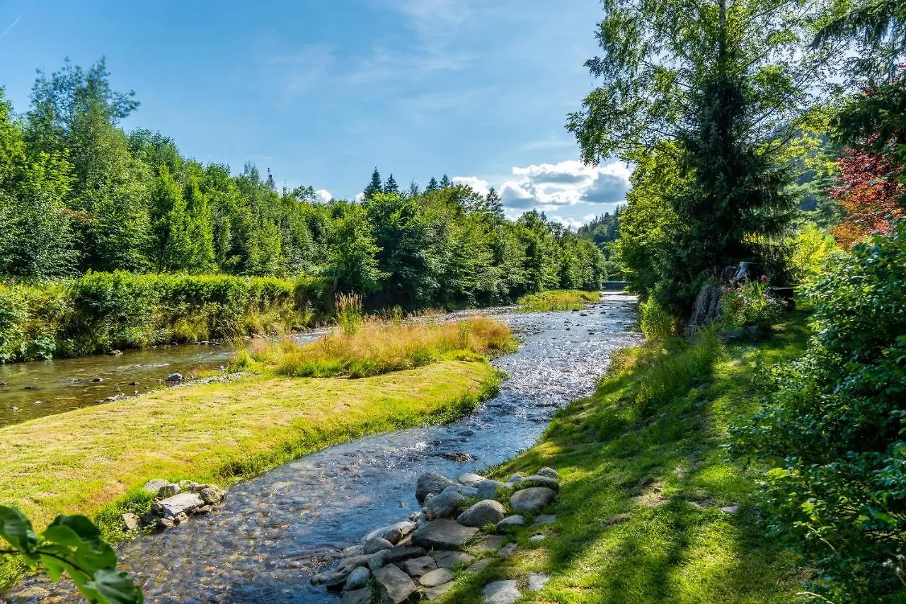 Villa Capra - Apartments Adult Only Zakopane