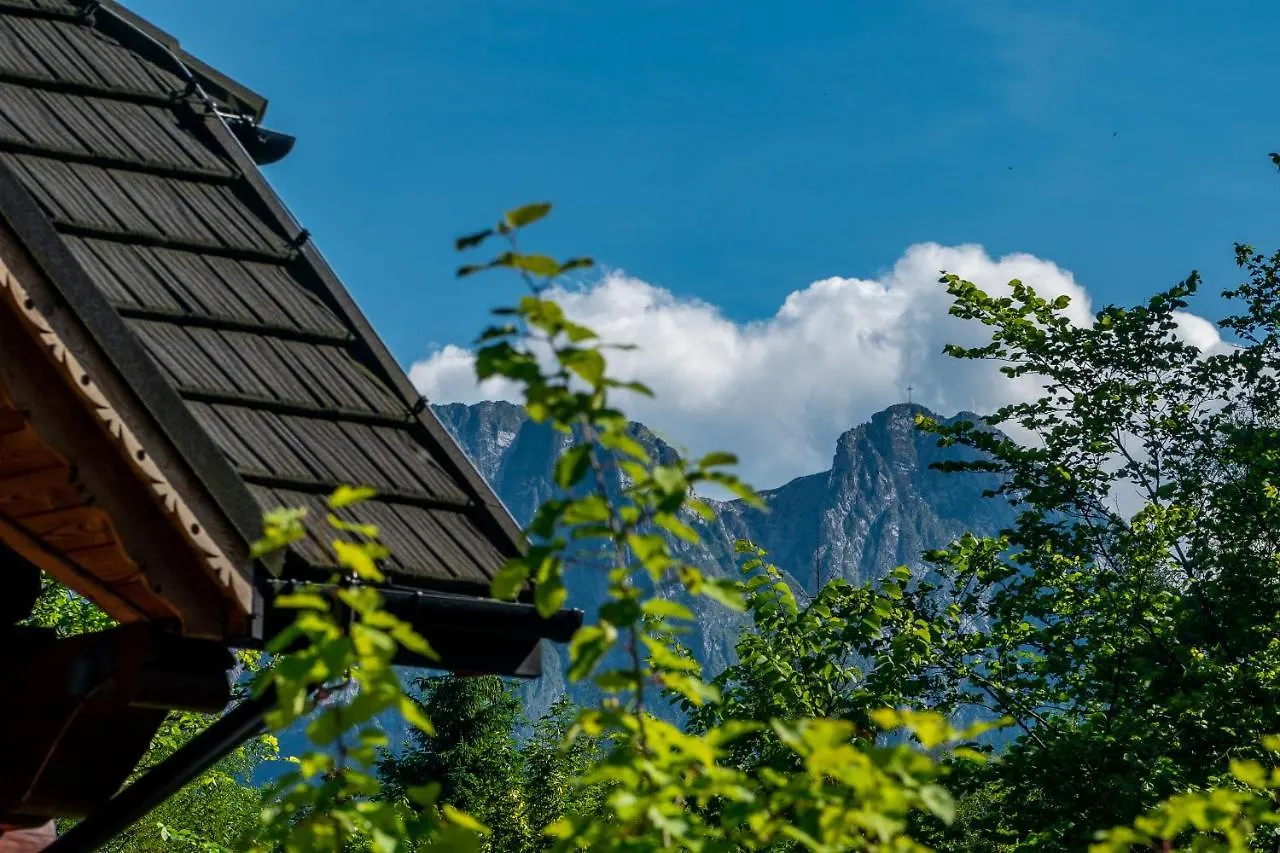 Villa Capra - Apartments Adult Only Zakopane Polen